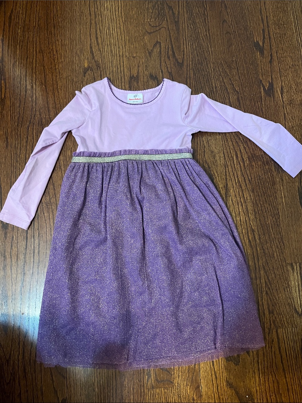 Hanna Andersson Lilac Top with Purple Sparkle Skirt Dress